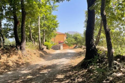 WhatsApp Image 2023-07-20 at 11.08.25 (22)