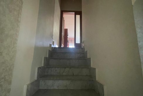 WhatsApp Image 2025-04-29 at 10.54.33 (3)