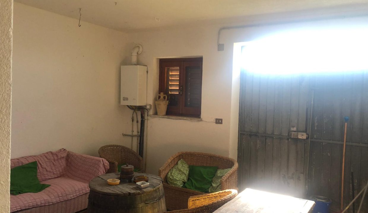 WhatsApp Image 2025-09-24 at 11.09.51 (1)