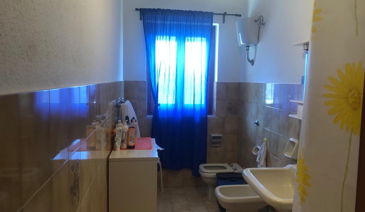 WhatsApp Image 2025-09-24 at 11.09.52