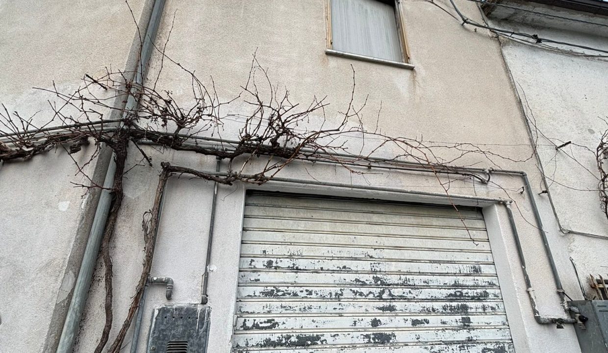 WhatsApp Image 2026-01-30 at 13.23.38