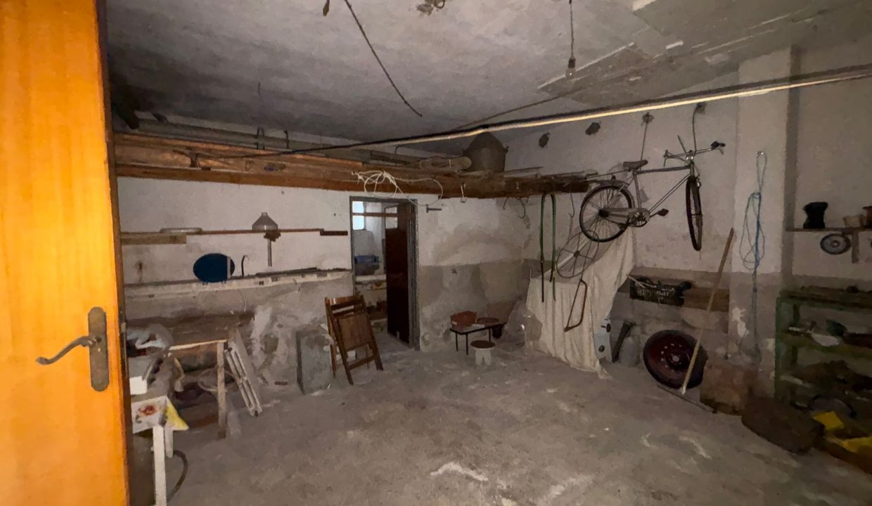 WhatsApp Image 2026-01-30 at 13.23.42 (1)