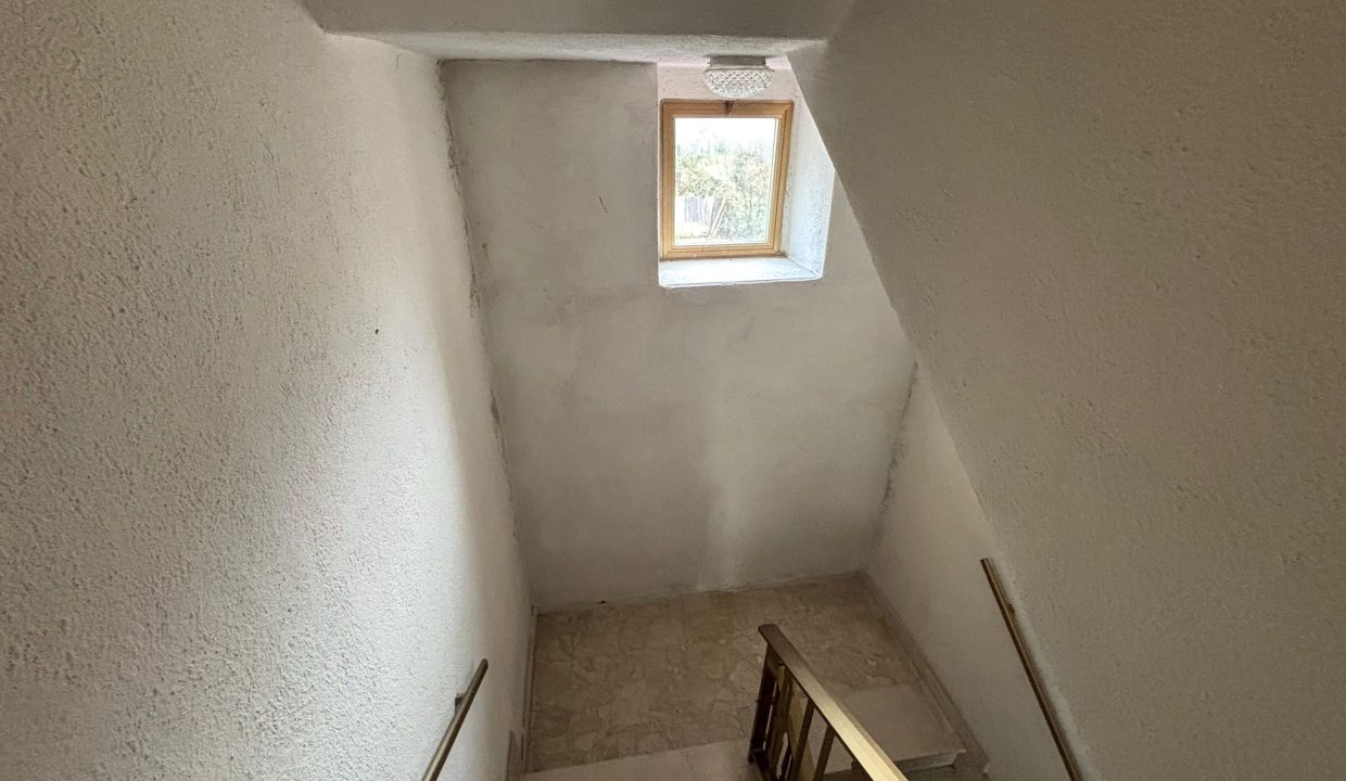 WhatsApp Image 2026-01-30 at 13.23.43