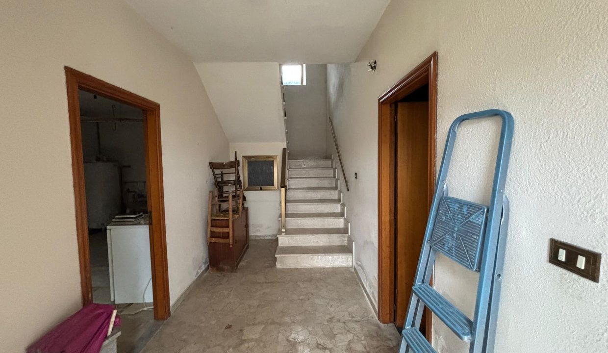 WhatsApp Image 2026-01-30 at 13.23.49