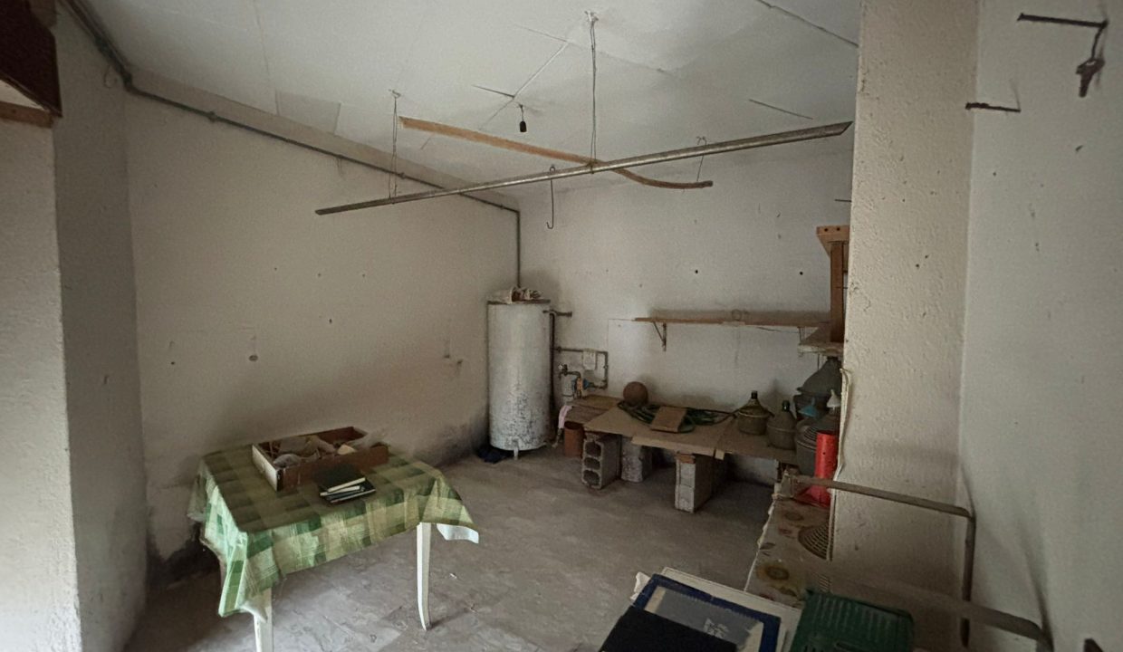 WhatsApp Image 2026-01-30 at 13.23.49 (2)