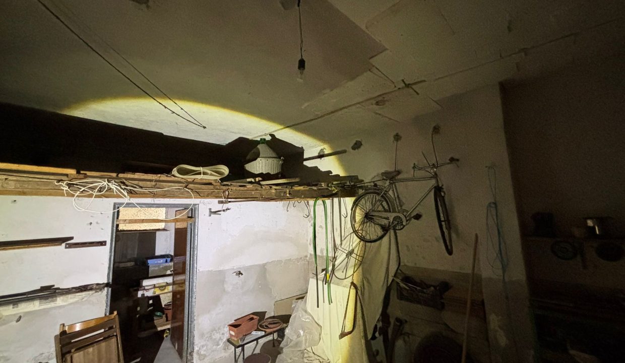 WhatsApp Image 2026-01-30 at 13.23.50 (1)