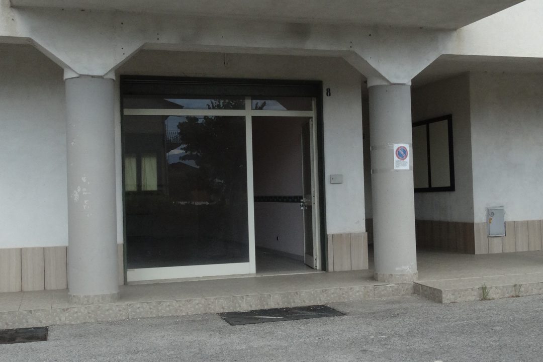 DSC03037