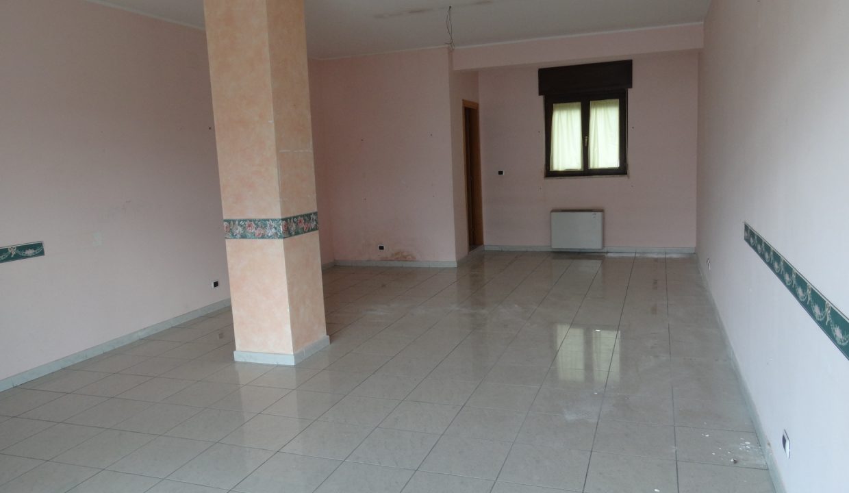 DSC03040