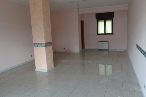 DSC03040