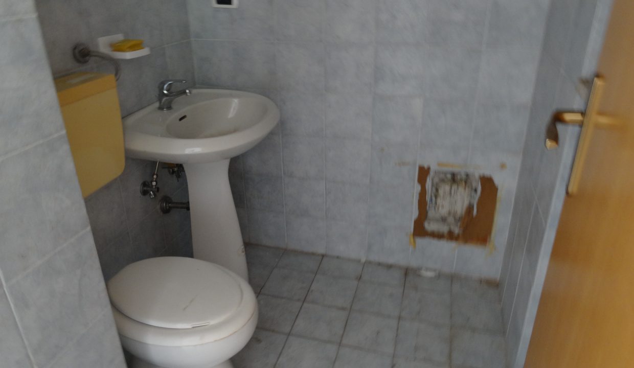 DSC03042