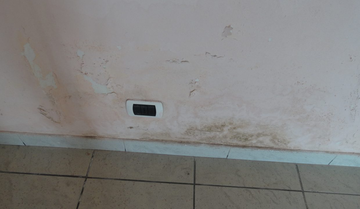 DSC03044