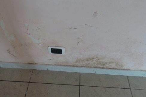DSC03044