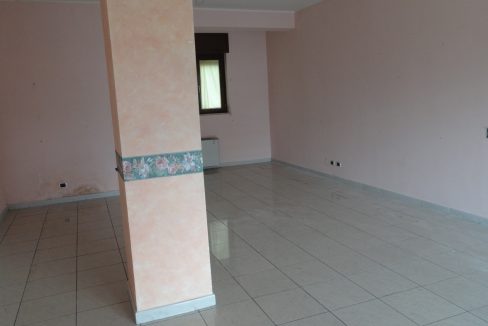DSC03045